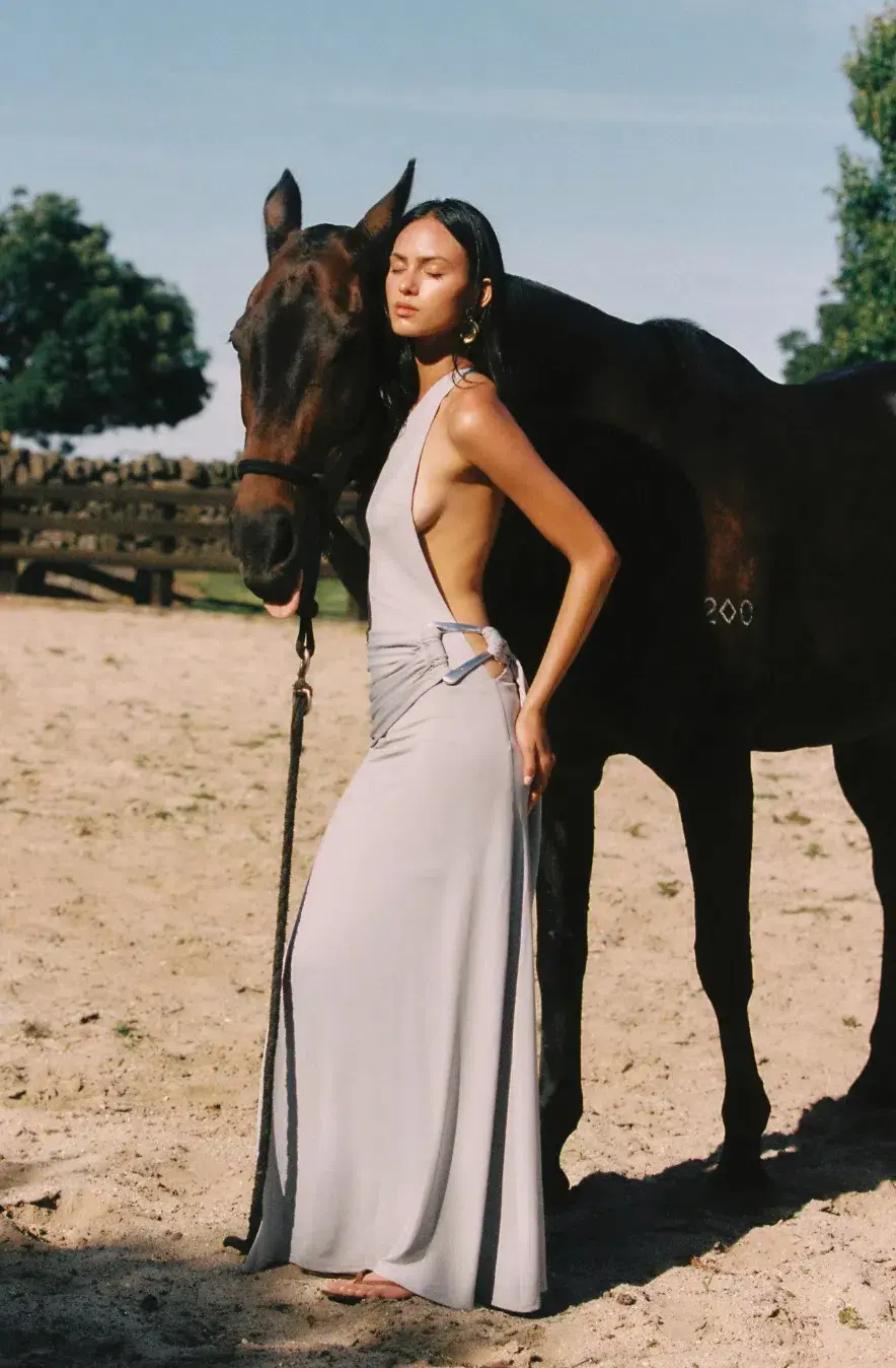 Ance Gria Gaia Gown Silver Grey - size XS for rent on The Volte - main image