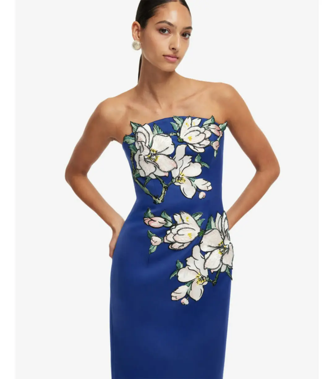 Leo Lin Ava Appliqué Floral Bustier Maxi Dress Midnight Magnolia Print Size AU 6 for rent on The Volte - main image