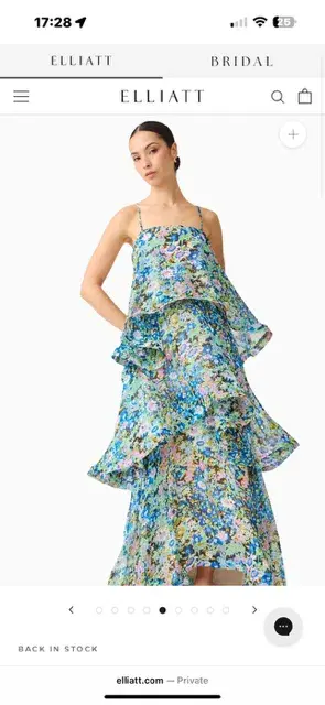 Elliatt Armani Tiered Maxi Dress In Blue Floral Size M - Image 5