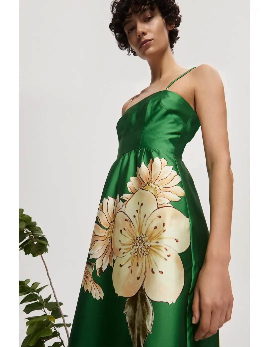 Alemais Sage Midi Dress 10 for rent on The Volte - main image