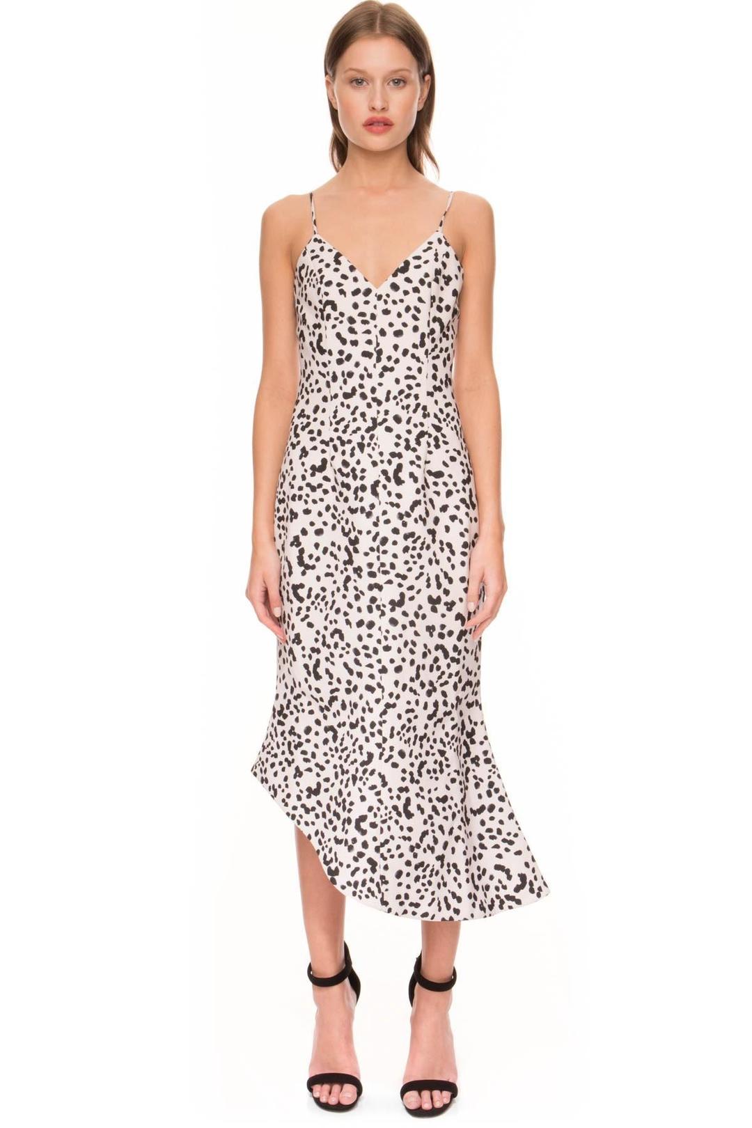 Keepsake the Label Rip Tide Dress Print Size 6 for rent on The Volte - main image