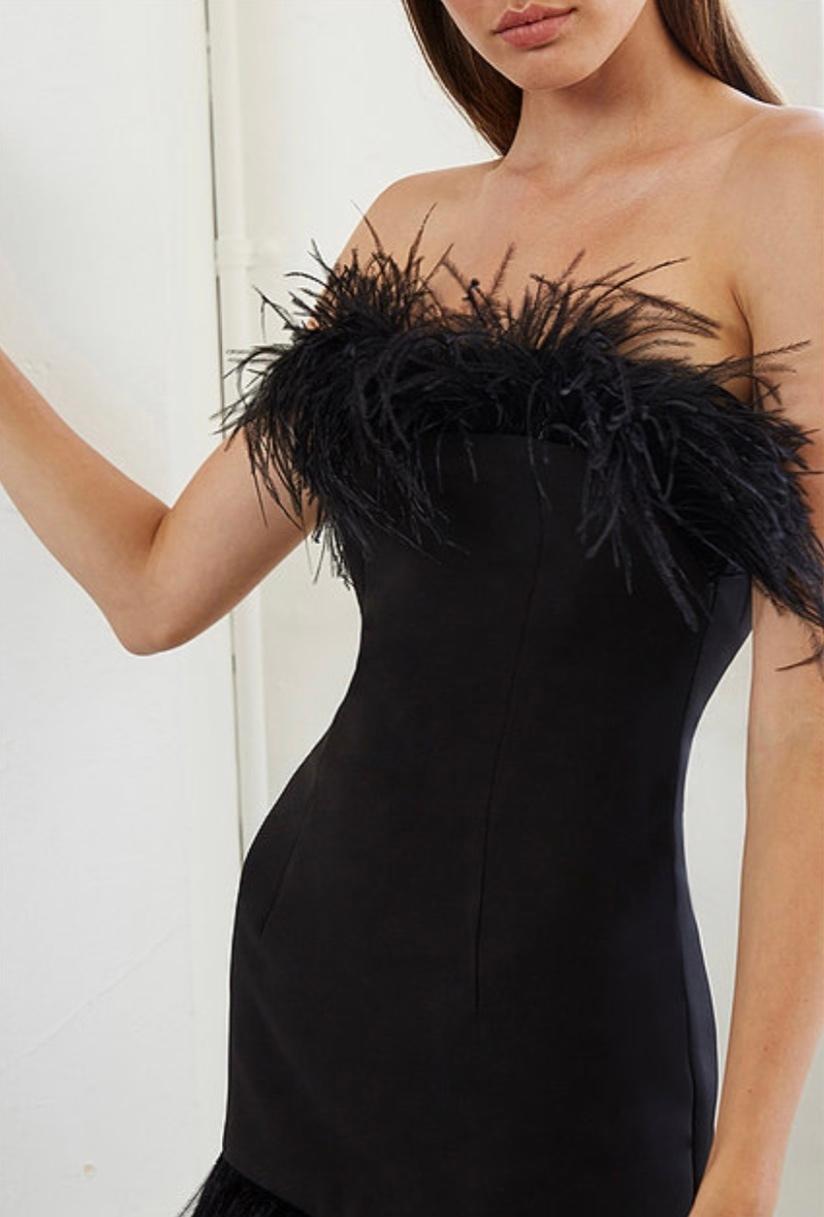 By Johnny Birthday Mini Dress Black Size 8 for rent on The Volte - main image