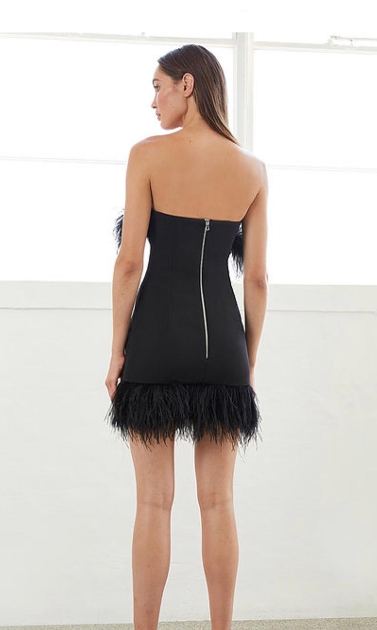 By Johnny Birthday Mini Dress Black Size 8 for rent on The Volte - main image