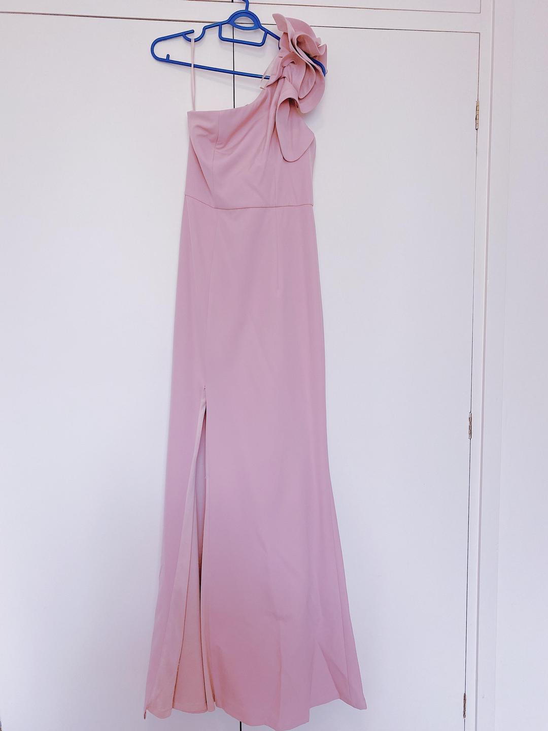 Bariano Pink Blush Long Dress for rent on The Volte - main image