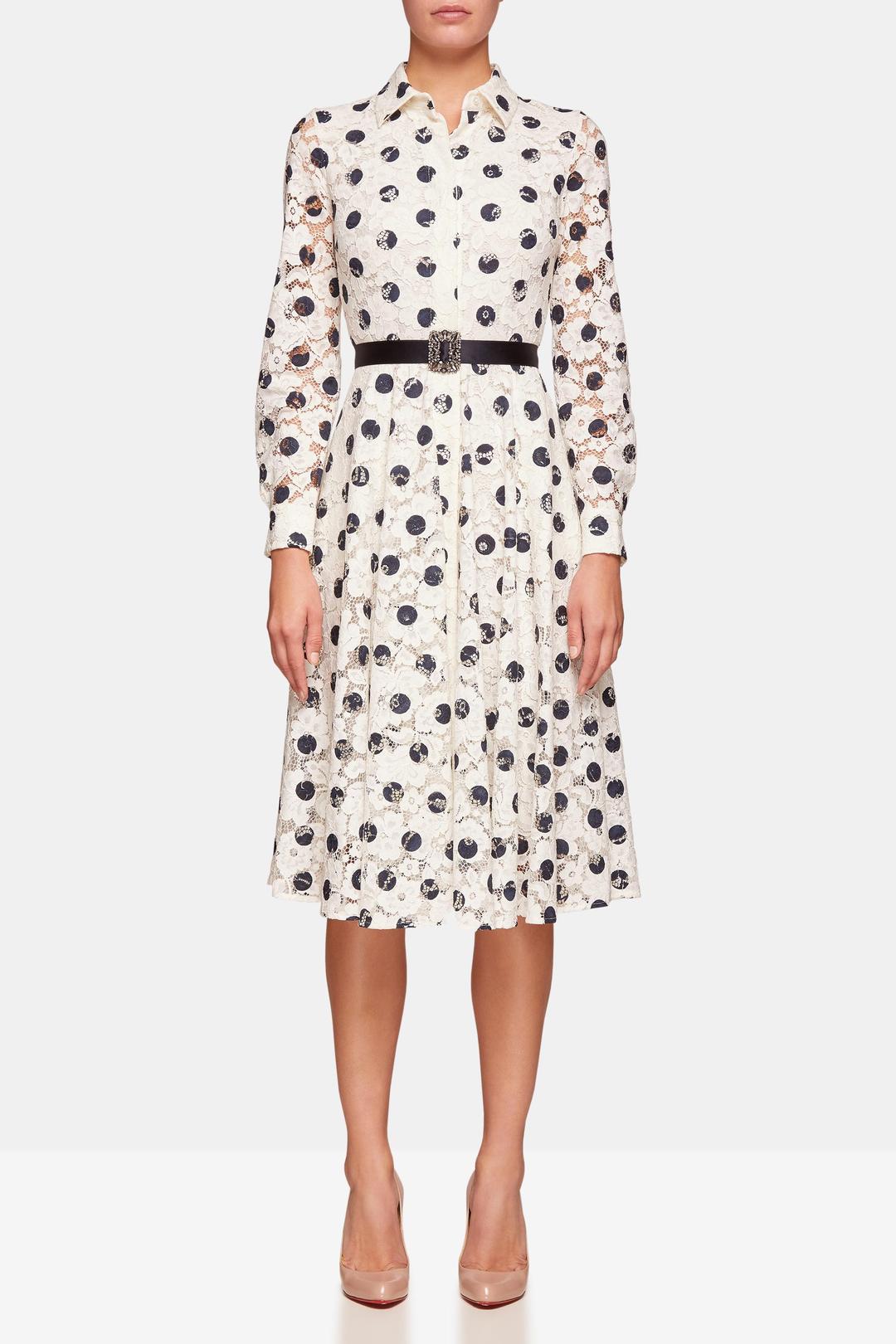 Carolina Herrera Polka Dot Midi Dress Print Size 8 for rent on The Volte - main image