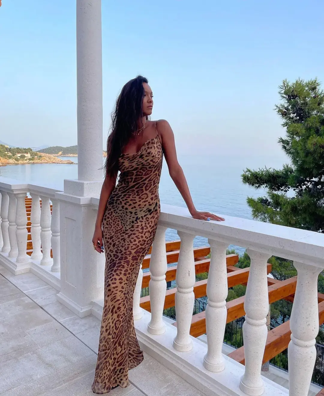 Rat & Boa Valentina Dress Animal Print Dress Size 6 for rent on The Volte - main image