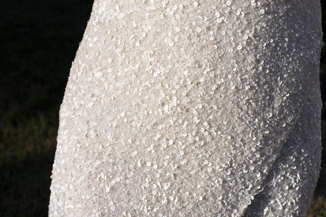 Rachel Gilbert Zali Dress White Size AU 6  for rent on The Volte - main image