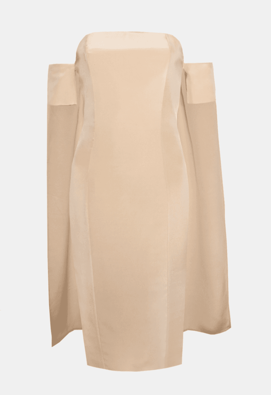 Misha Giselle Silk Dress Cream Size 8 for rent on The Volte - main image