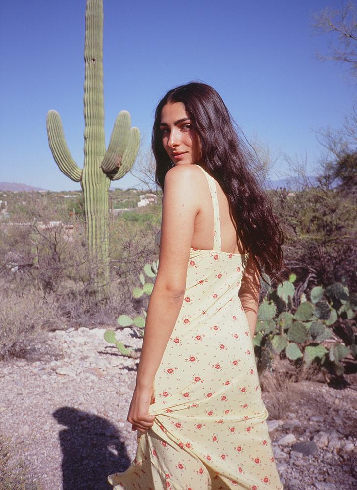 Realisation Par The Allegra Dress Print Size 6 for rent on The Volte - main image