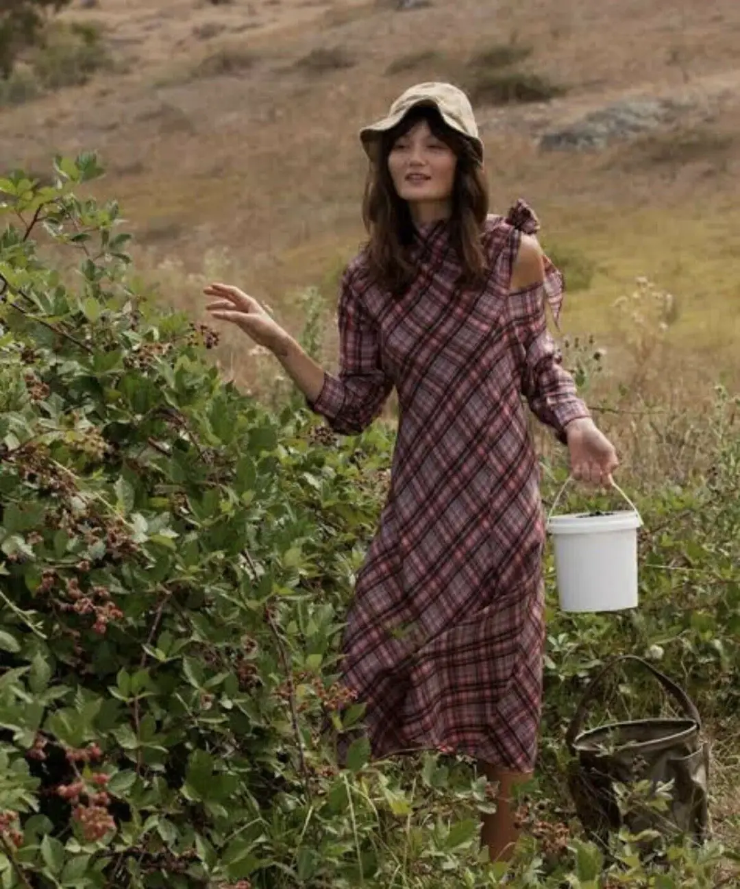 Scanlan Theodore Plaid Tie Shoulder Dress Print Size 10 for rent on The Volte - main image