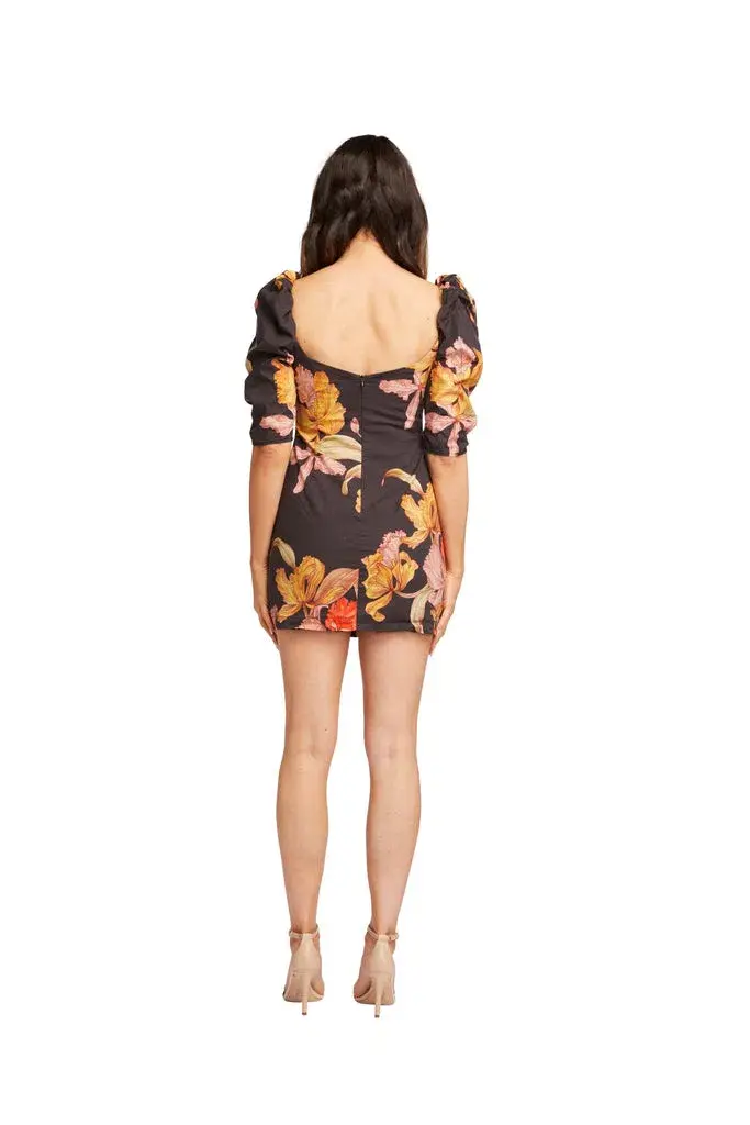 Pasduchas Calyx Dress Print Size 8 - Image 2