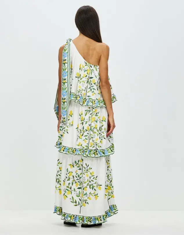 Binny You & Me in Capri Maxi Dress Print Size 12 - Image 3