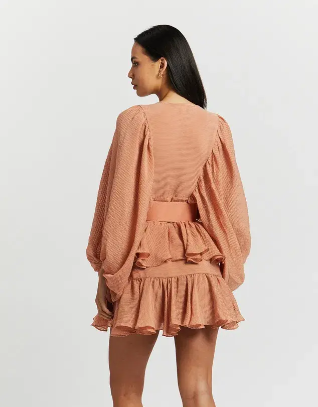 Shona Joy Charlotte Mini Dress in Desert Rose Size 8 - Image 10