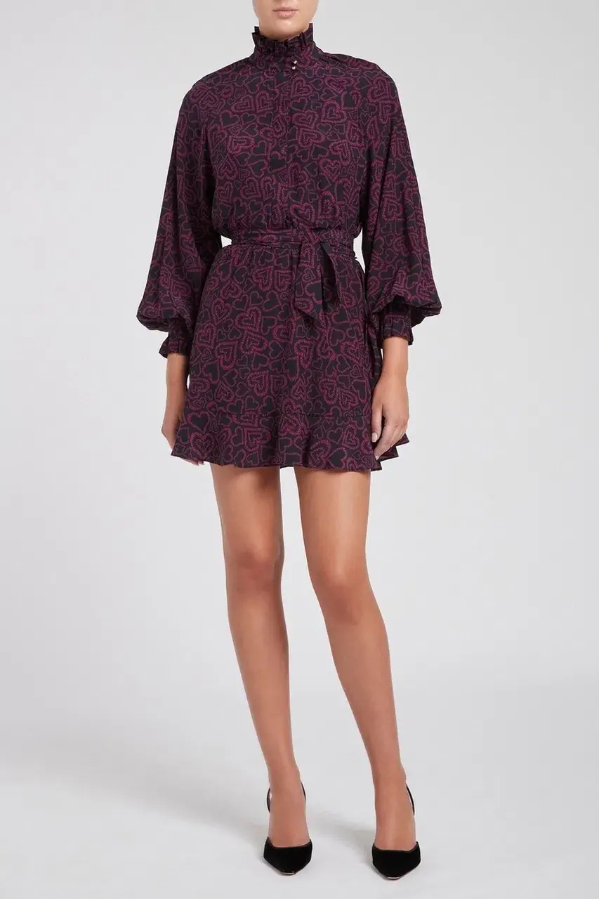 Rebecca Vallance Mazie Mini Dress Print Size 10 - Image 1