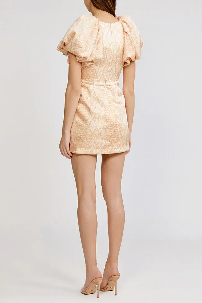 Acler Raven Dress Cobra Print Size 6 - Image 2