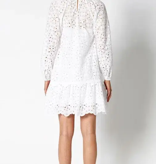 Scanlan Theodore Embroidered Cotton Mini Dress White Size 8 - Image 3