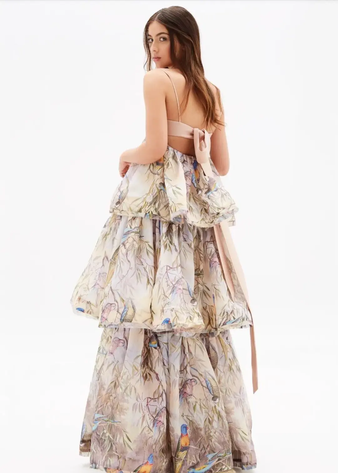 Zimmermann Candescent Parakeets Gown Print Size 2 for rent on The Volte - main image
