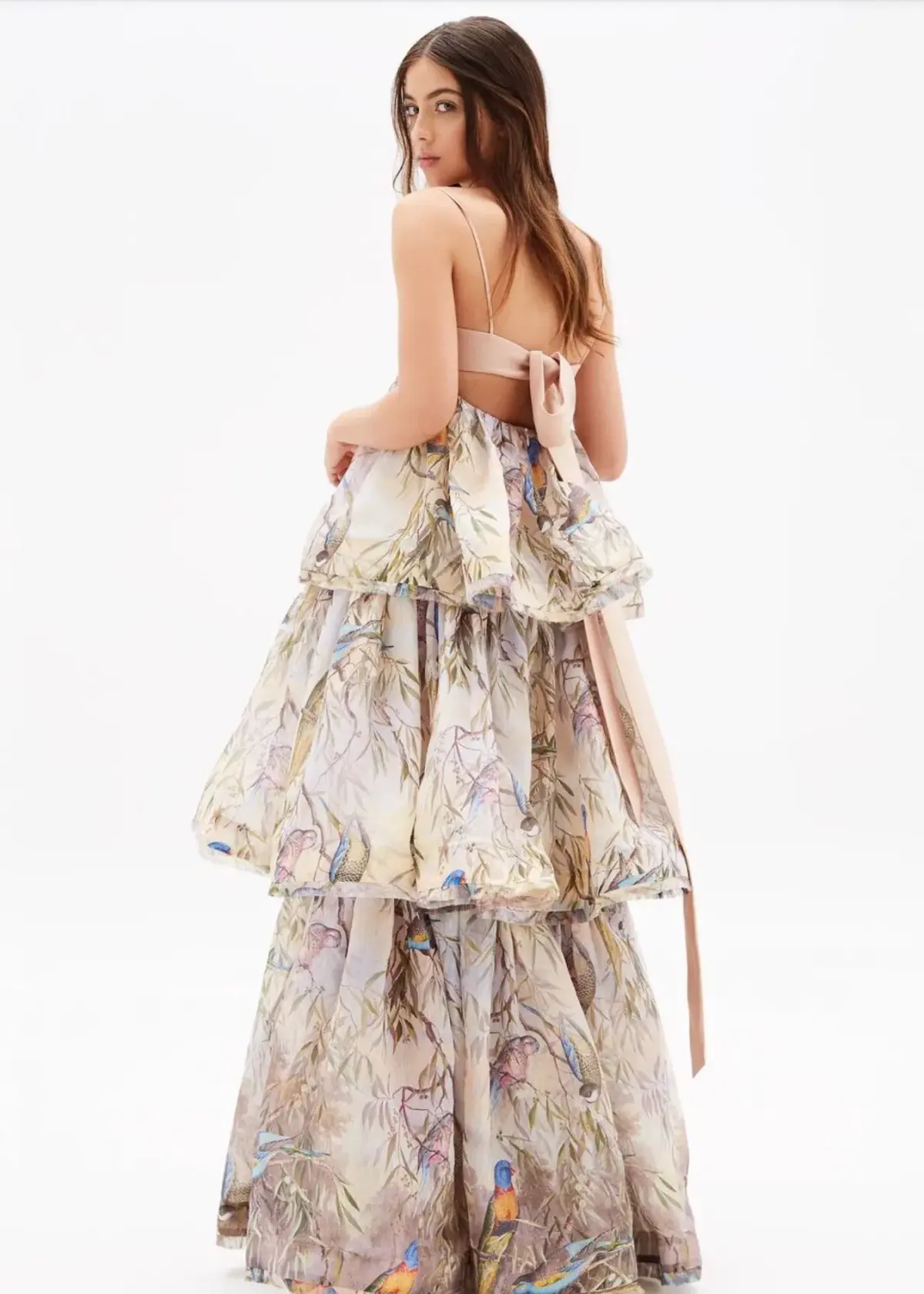Zimmermann Candescent Parakeets Gown Print Size 2 - Image 4