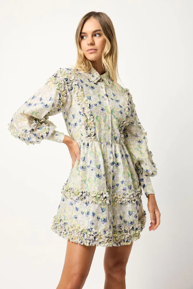 ElliattKendari Mini Dress Green Size 8  - Image 1
