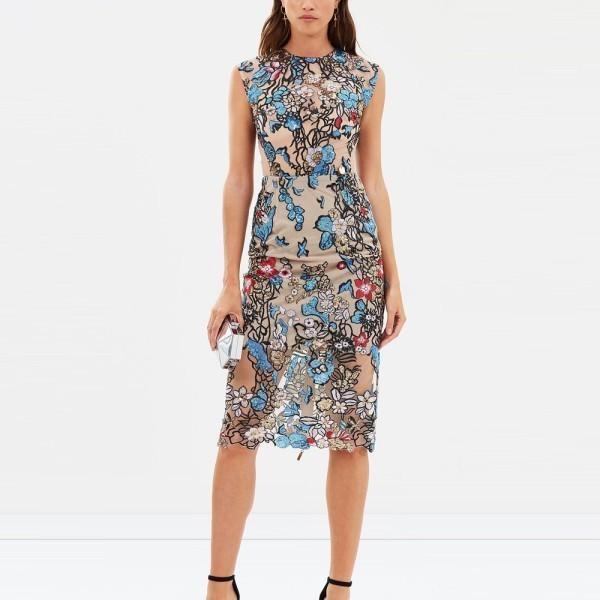 Bronx & Banco Birds Of Paradise Midi Dress Print Size 8 - Image 3