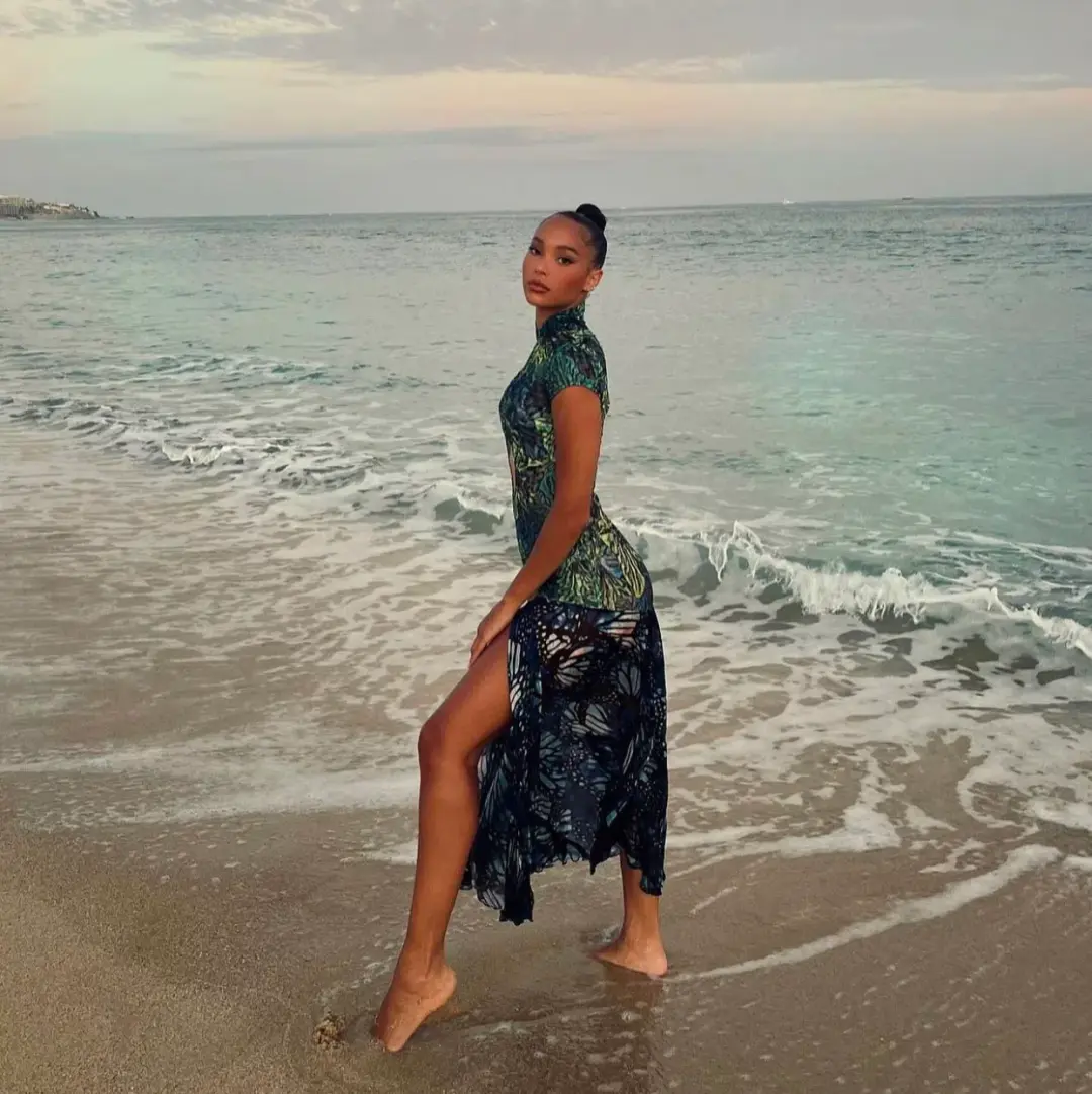 Kim Shui Lace Butterfly Dress Print Size 6  for rent on The Volte - main image