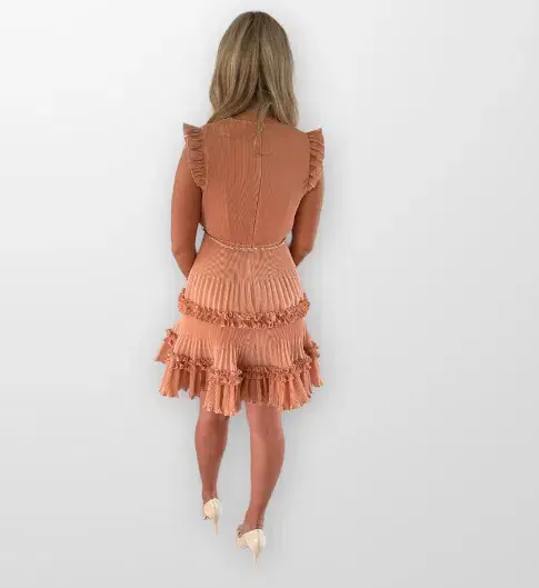 Zimmermann Pleated Mini Dress in Lipstick Size 1 / Au 10 for rent on The Volte - main image