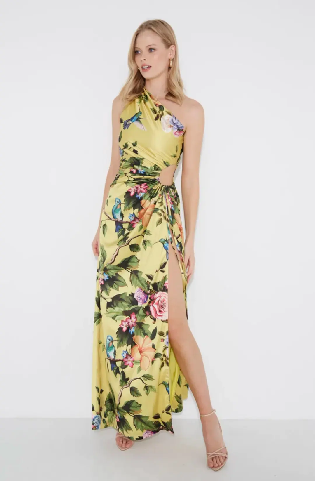 Sonya Moda Nour Royal Botanic Maxi Dress Print Size 8 for rent on The Volte - main image