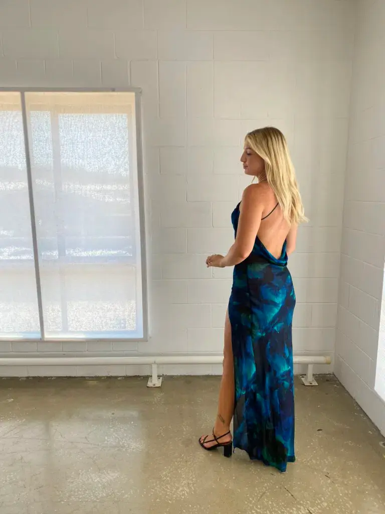 Rat & Boa Rafinha Maxi Dress Blue & Black Print Size M/Au 10 for rent on The Volte - main image