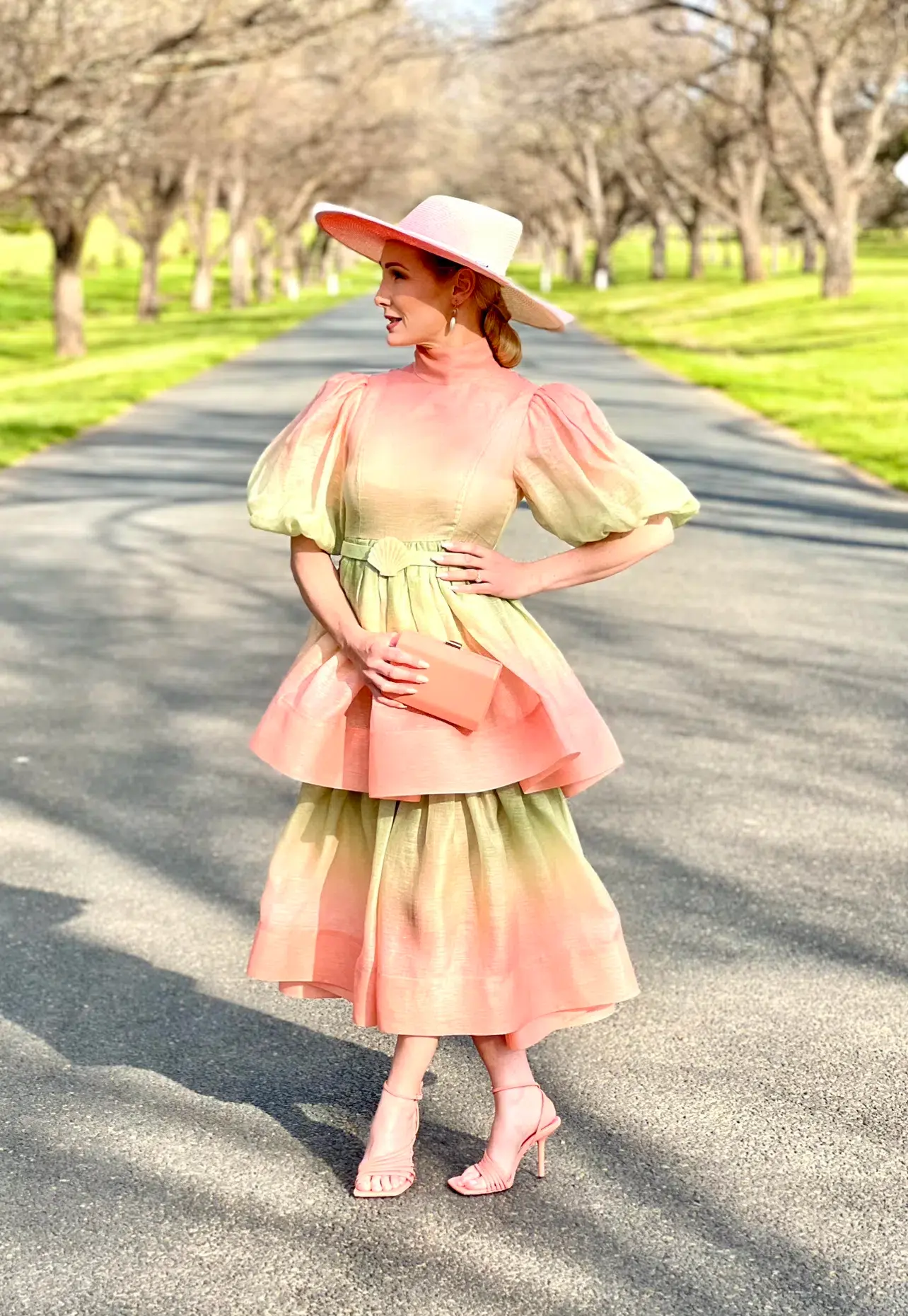 Zimmermann Postcard Puff Sleeve Midi Dress Ombre Watermelon Size 0P /Au 6 - Image 1