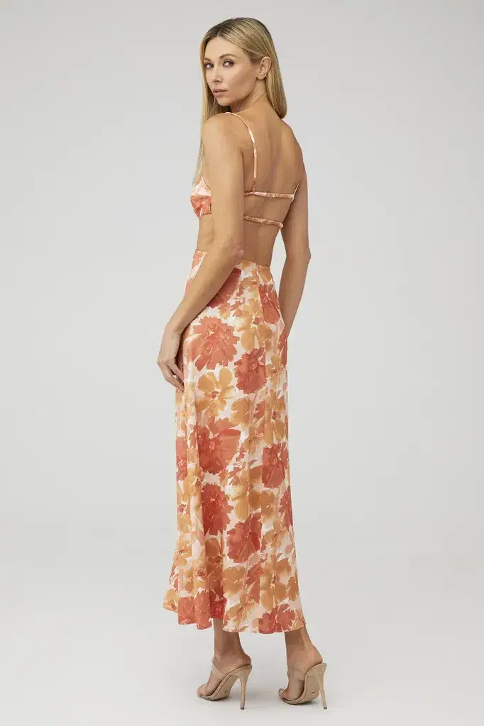 Significant Other Maeve Maxi Dress Scarlet Poppy Floral Size 6 - Image 2