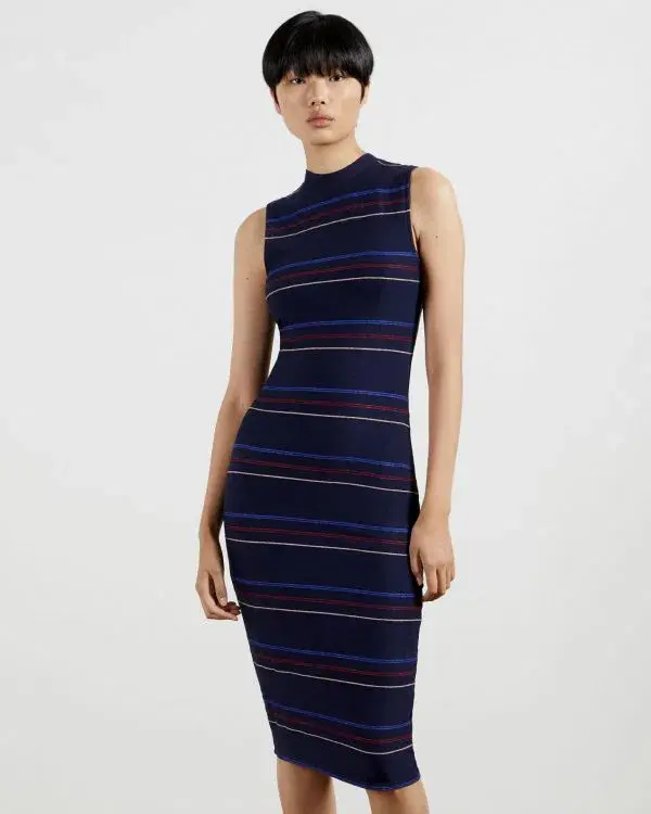 Ted Baker Erlo Striped Sleeveless Midi Dress In Navy In Size 1/Au 8 - Image 1