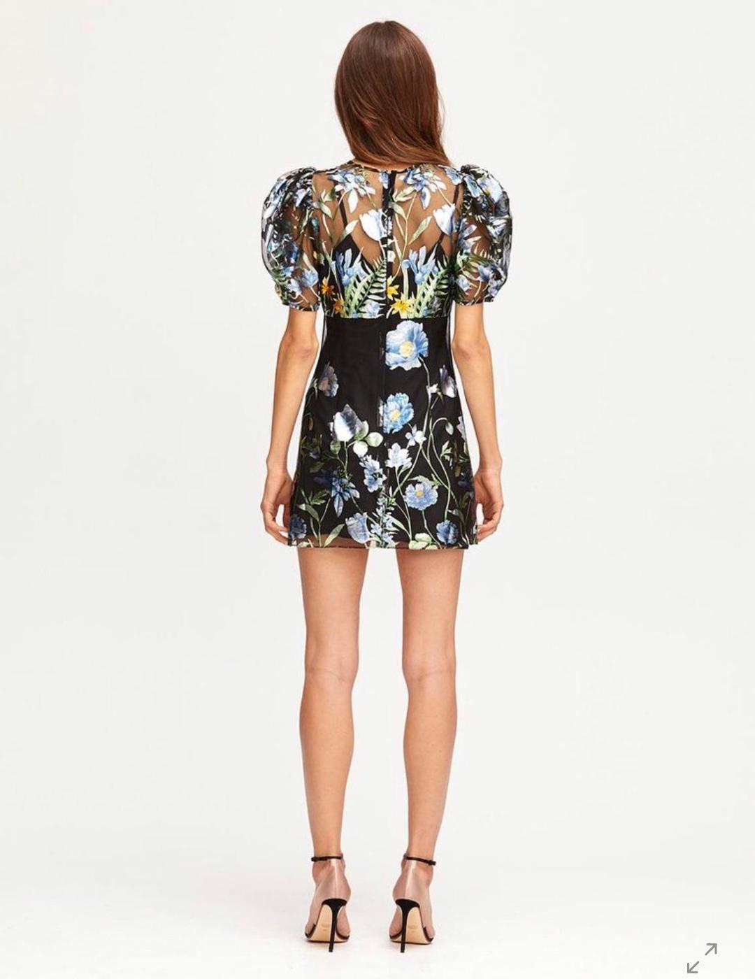 Alice McCall Some Kind of Beautiful Size 6 for rent on The Volte - main image