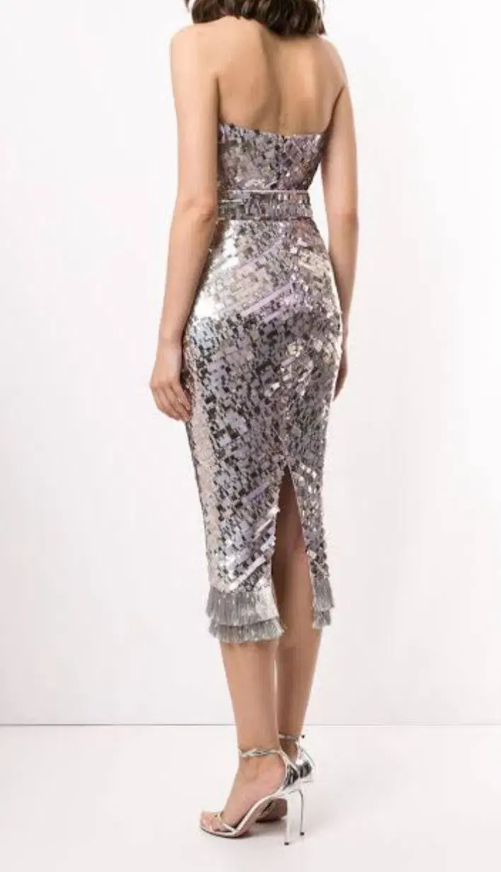 Rachel Gilbert Hunter Dress Lilac Size AU 12 for rent on The Volte - main image