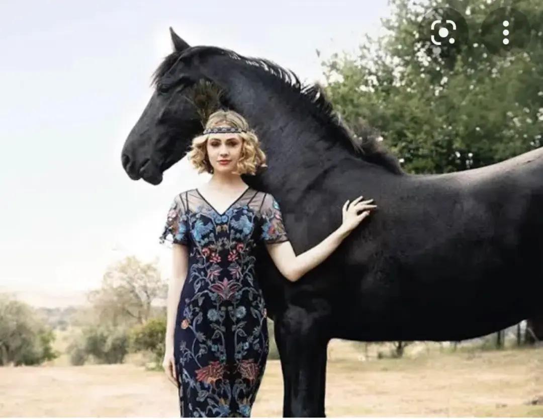 Alannah Hill Birds of a Feather Sheath Midi Dress Beaded  Size 8  for rent on The Volte - main image