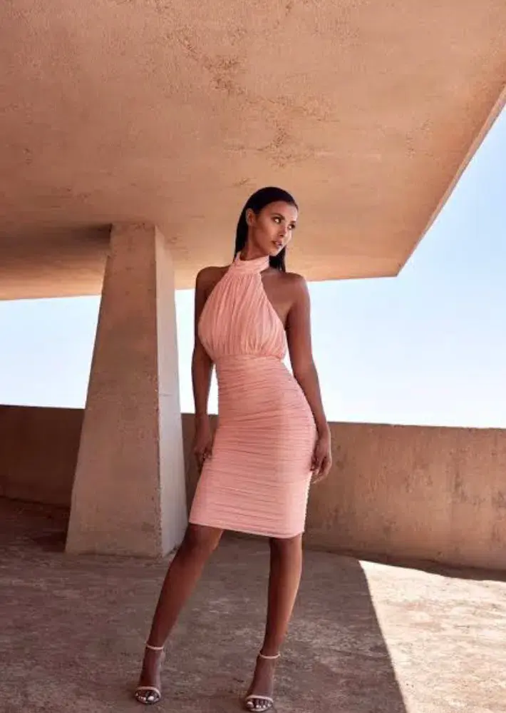 House of CB Merielle Semi Sheer Mesh Backless Dress Pink Size XS / AU 6 - Image 1
