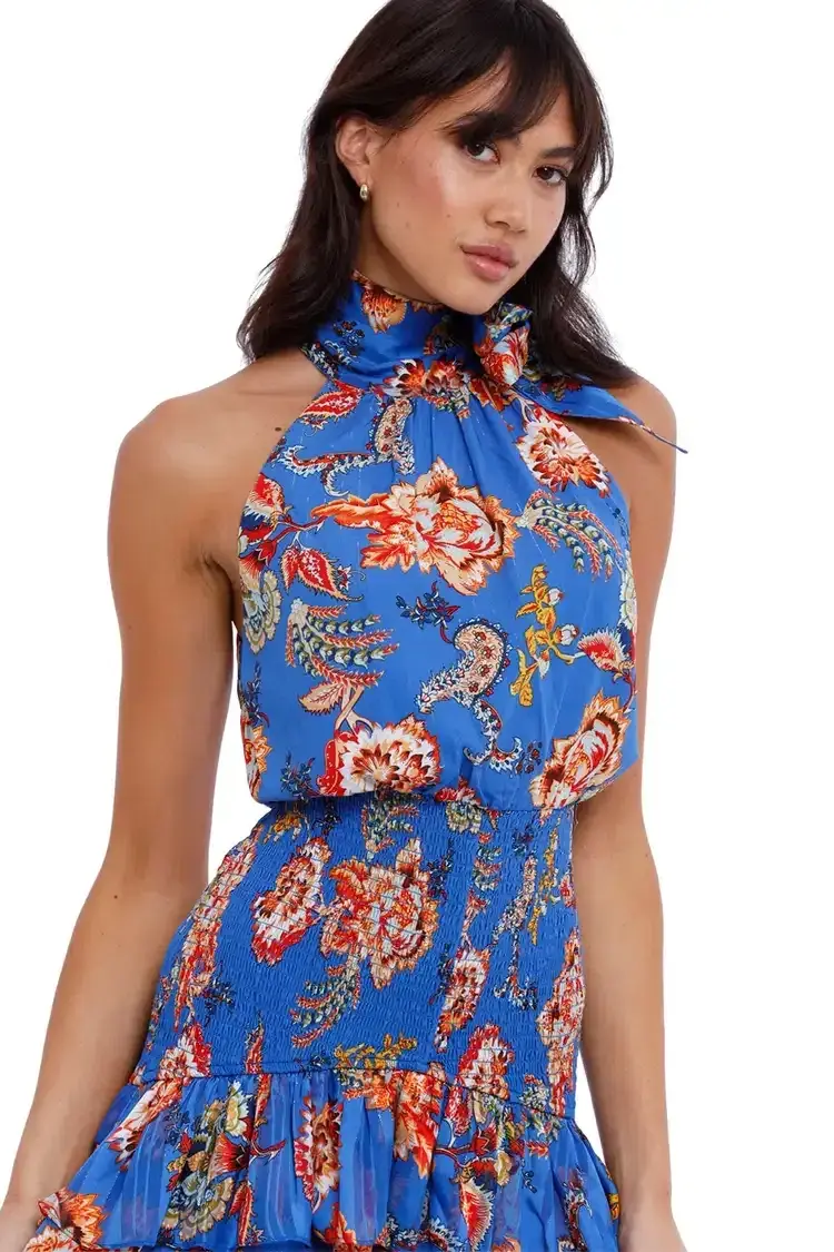 Elliatt Virago Dress Blue Multi Print Size 14 for rent on The Volte - main image