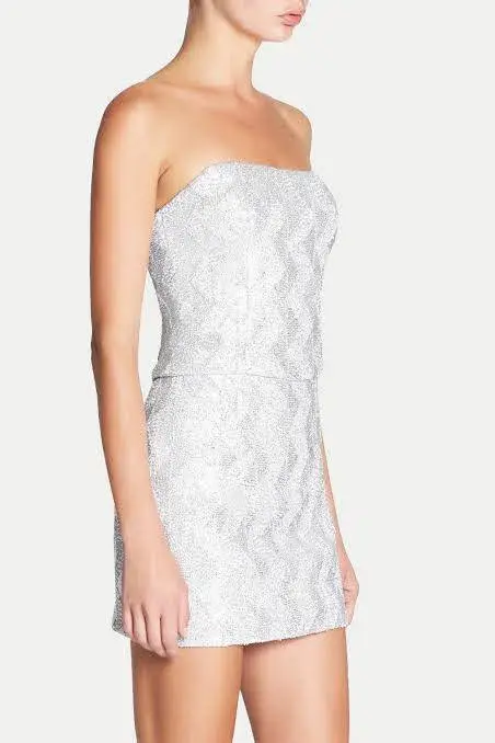 Manning Cartell No Filter Bustier and Skirt In Metallic Size 8 - Image 2