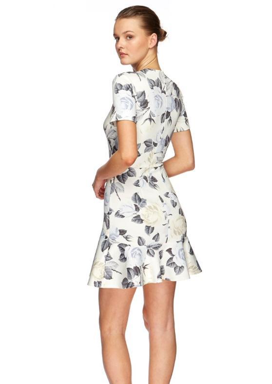 Lover Rosa Flip Mini Dress Print Size 6 - Image 2