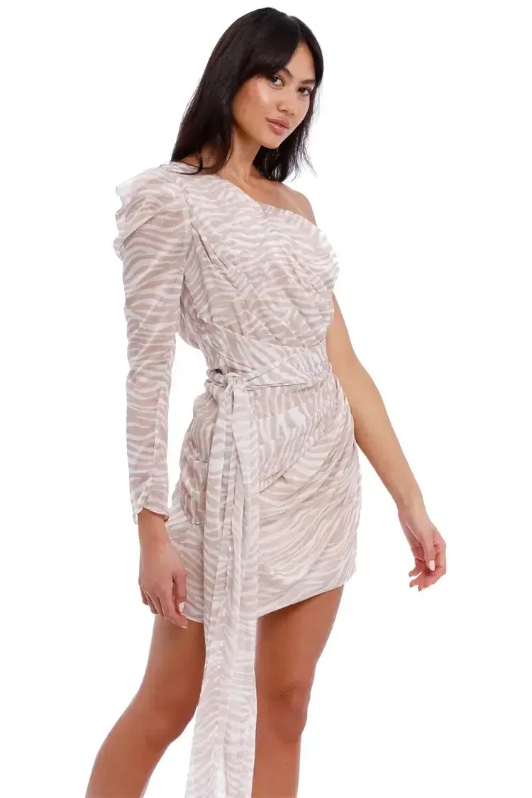 MISHA Jaylene Mini Dress Print Size 10  - Image 4