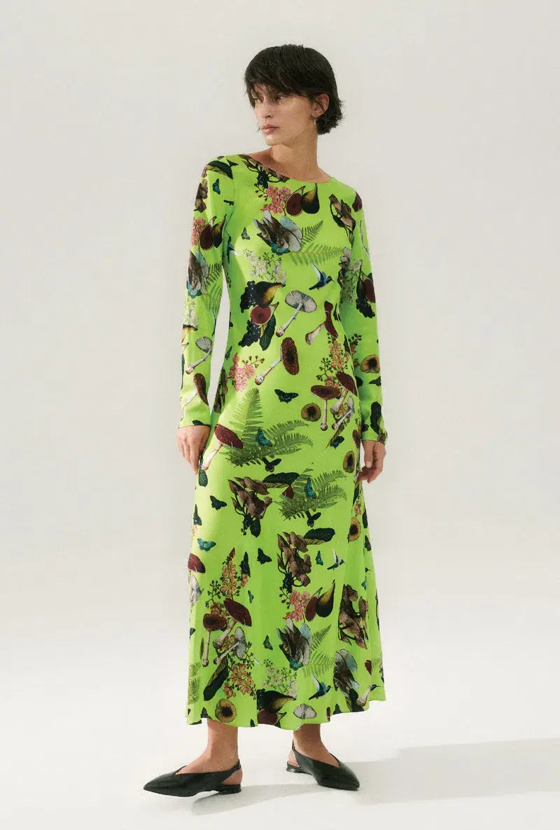 Silk Laundry Sienna Dress Magic Mushroom Fern Size XS/ 6 - Image 1