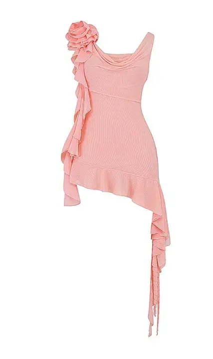 House of CB Charla Ruffle Rose Mini Mesh Dress in Soft Apricot Size S / Au 8 - Image 5