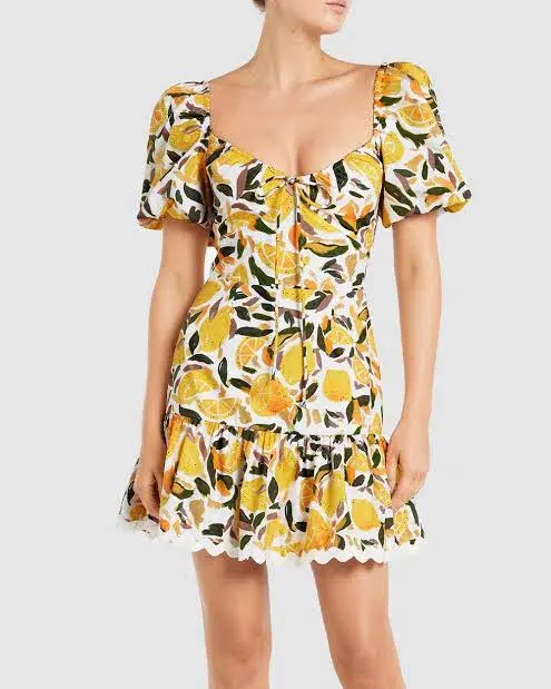 Rebecca Vallance Amarilla Mini Dress Print Size 10 - Image 4