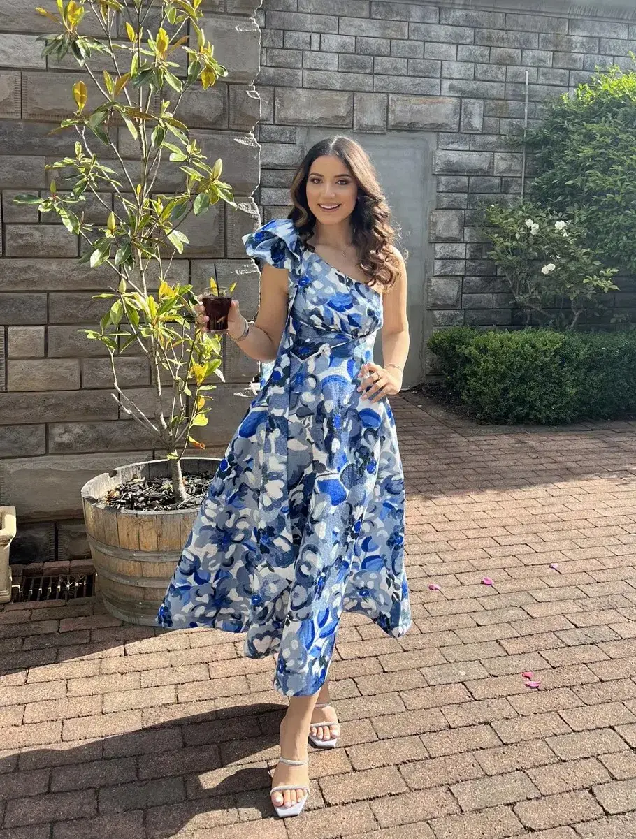 Rachel Gilbert Emiliano Dress Blue Print Size 12 - Image 1