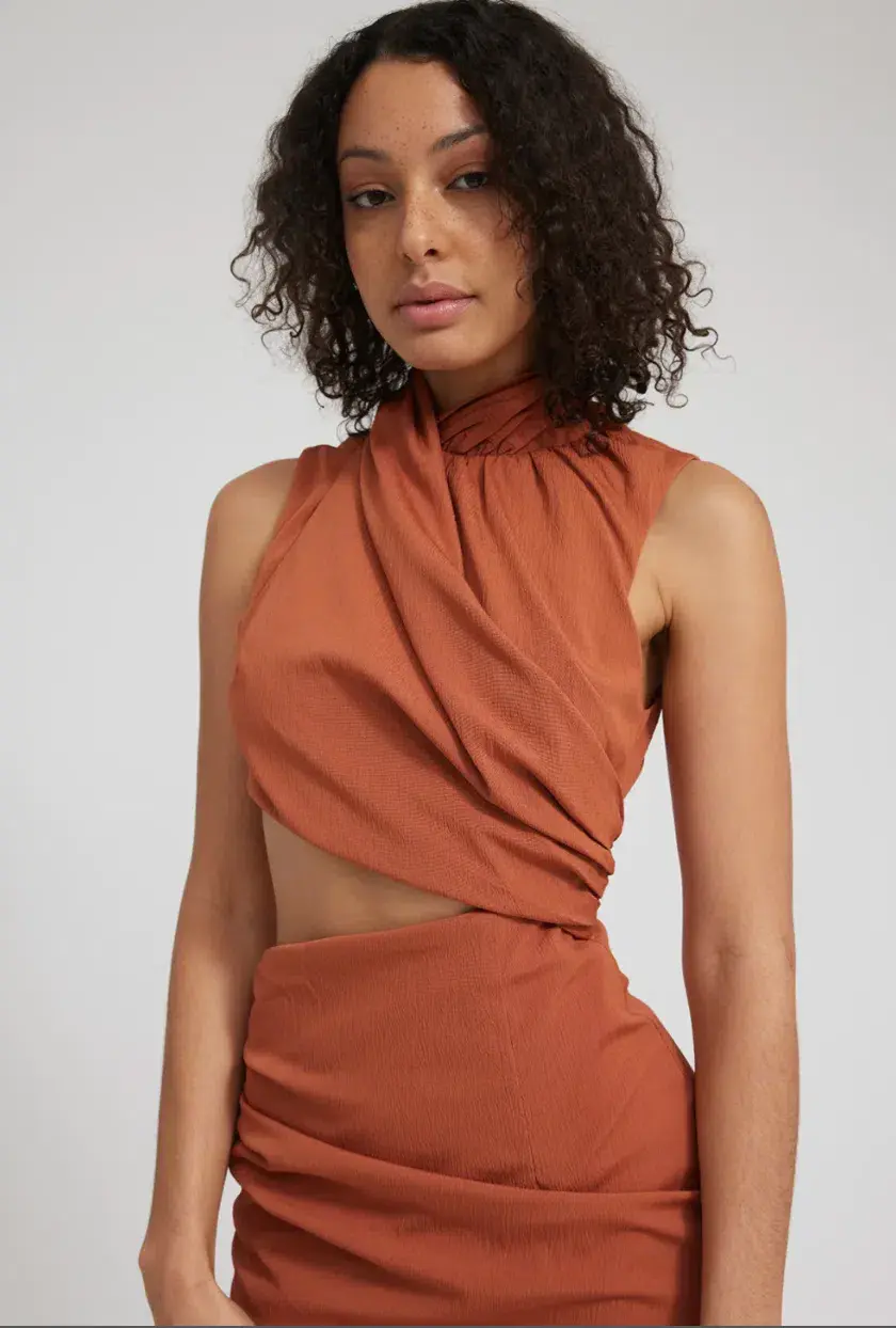 Tojha Gianna Dress Nude Orange Size 6 - Image 5