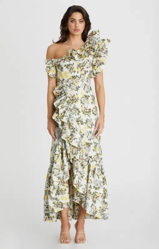 Aqua Blu Giselle Dress Clementine Print Size 10 - Image 1