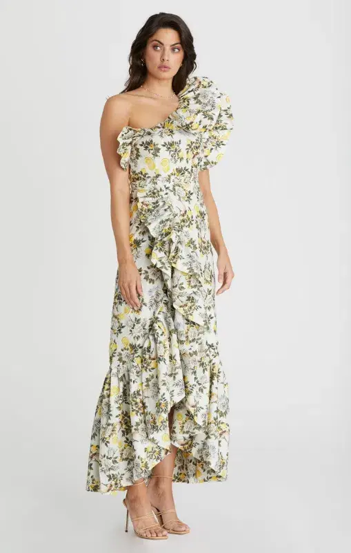 Aqua Blu Giselle Dress Clementine Print Size 10 - Image 3
