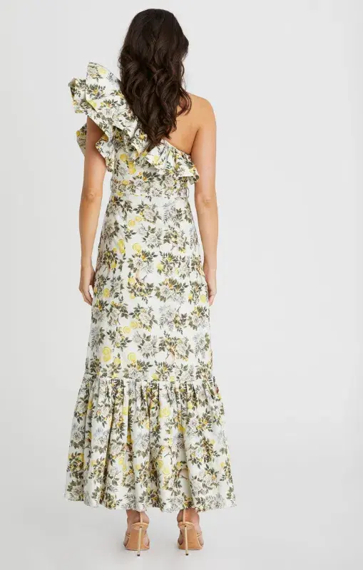 Aqua Blu Giselle Dress Clementine Print Size 10 - Image 2