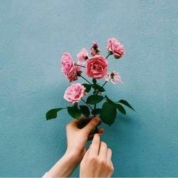 Maritha Appel