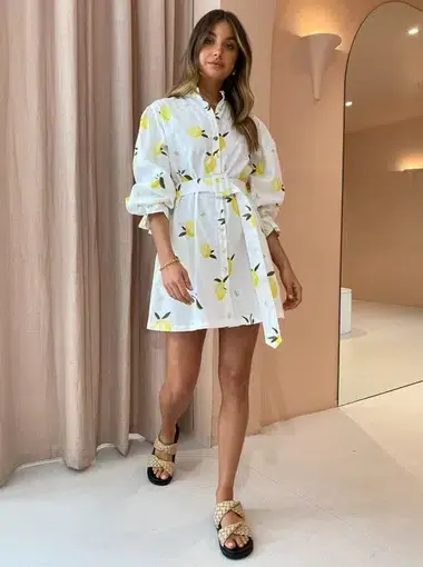Ambra Maddalena Mini Dress Lemon Print Size 8
