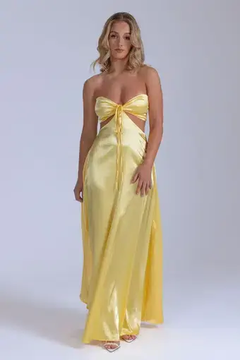 Lane & Sass Lucy Gown in Lemon Size S / AU 8